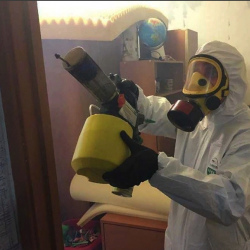 Уничтожение клопов в квартире. Зеленогорск